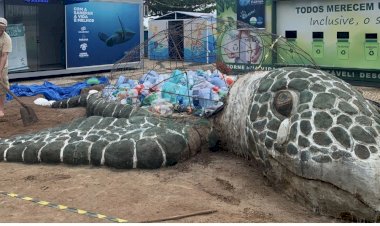 Artista protesta contra morte de baleias e tartarugas