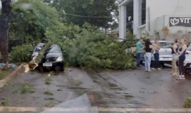 Temporal em Cafelândia  causa muitos prejuízos