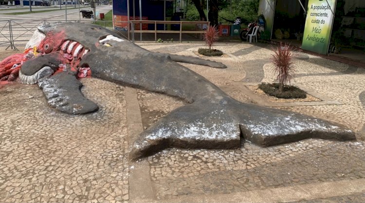 Artista protesta contra morte de baleias e tartarugas