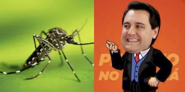 O retardado Governo Ratinho Jr. acordou no carnaval para colocar em prática ações de combate ao mosquito da dengue